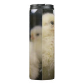 Peeps Thermosbecher (Rückseite)