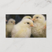 Peeps Visitenkarte (Rückseite)