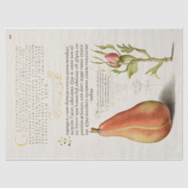 Peer-Französisch-Rose Kalligrafie Seidenpapier