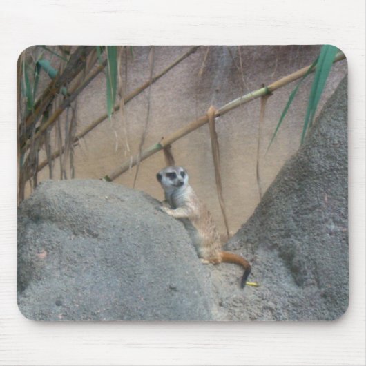 Peerkat Meerkat Mousepad (Vorne)