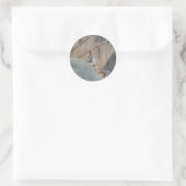 Peerkat Meerkat Runder Aufkleber (Tasche)