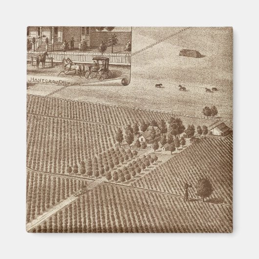 Peerless Vineyard, Hanford, Cal Magnet (Vorne)
