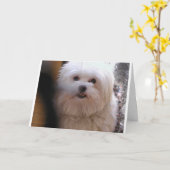 PEEWEE KARTE (Gelbe Blume)