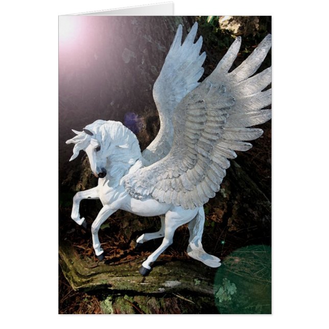 Pegasus (Vorne)