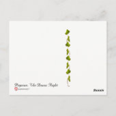 Pegasus. Die Morgendämmerung Postkarte (Rückseite)