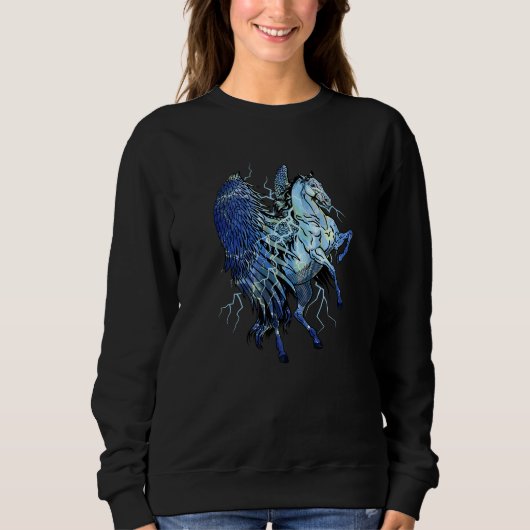 Pegasus Einhörner Pferde Blitz Pegasos Mädchen Ch Sweatshirt (Vorderseite)