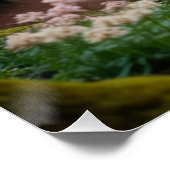 Pegasus Filly auf dem Waldweg Poster (Ecke)