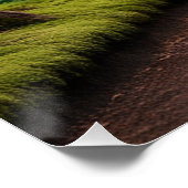 Pegasus Filly auf dem Waldweg Poster (Ecke)