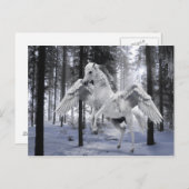 Pegasus Flügeldrachenschnee Postkarte (Vorne/Hinten)