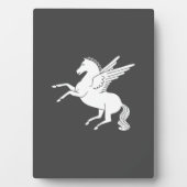 Pegasus Fotoplatte (Vorderseite)