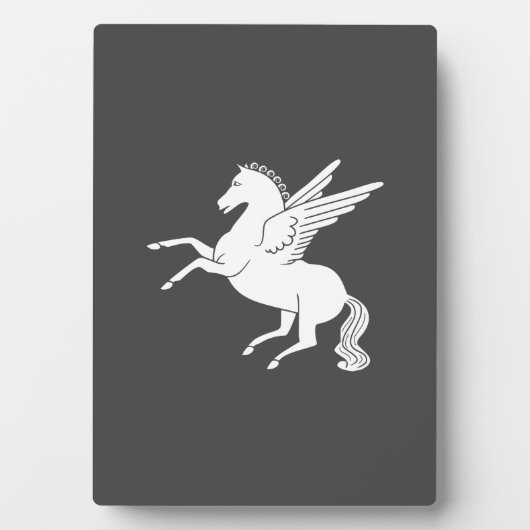 Pegasus Fotoplatte (Vorderseite)