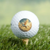 Pegasus Golfball (Insitu T-Shirt)