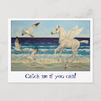 Pegasus Horse & Sea Gulls - Postkarte
