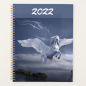 Pegasus im Flug Planer (Vorderseite)
