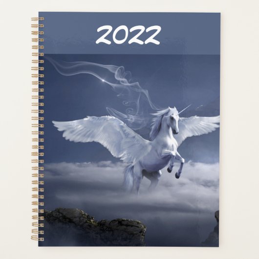Pegasus im Flug Planer (Vorderseite)
