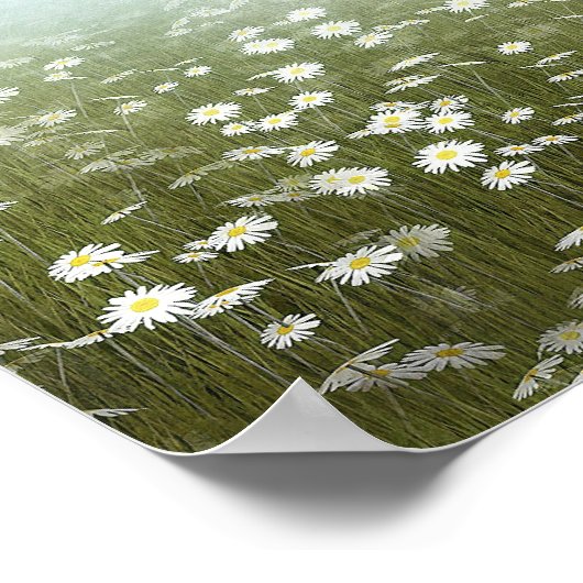 Pegasus in den Molsen Poster (Ecke)