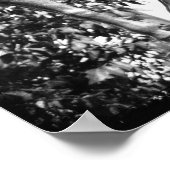 Pegasus in Schwarz-Weiß-Grunge Poster (Ecke)