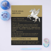 Pegasus, Juristischer Flyer für Werbung (Einzeln)
