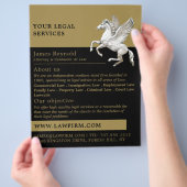 Pegasus, Juristischer Flyer für Werbung (Hand)