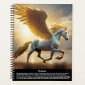 Pegasus-Kalender Planer (Vorderseite)