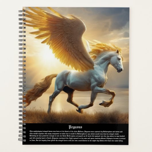 Pegasus-Kalender Planer (Vorderseite)