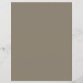 Pegasus, Legal Services Flyer (Hinten)