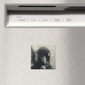 Pegasus Magnet (In Situ (Geschirrspüler))