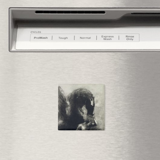 Pegasus Magnet (In Situ (Geschirrspüler))