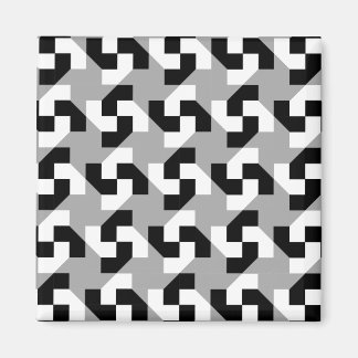 PEGASUS-Magnet Magnet