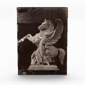 Pegasus – Pégase – Louis-Emile Durandelle Fotoblock (Vorderseite)