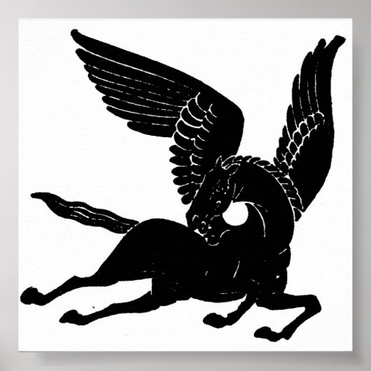 Pegasus Poster (Vorne)