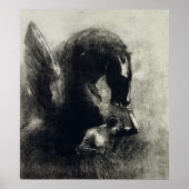 Pegasus Poster (Vorne)