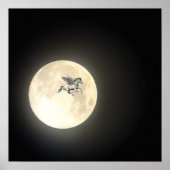 Pegasus Poster (Vorne)
