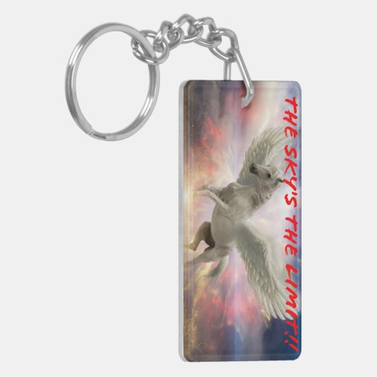 Pegasus Schlüsselanhänger Schlüsselkette (Vorderseite links)