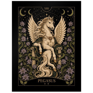 Pegasus, Sternenlicht-Tarot-Kunst Postkarte