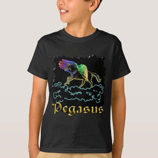 Pegasus T-Shirt (Vorderseite)
