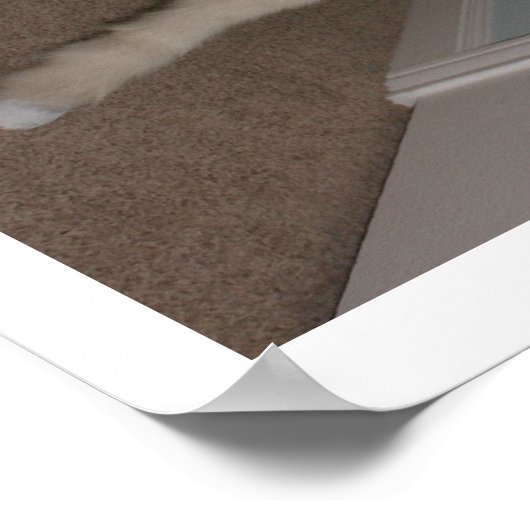 PEGASUS und Hunter S. Thomcat Poster (Ecke)