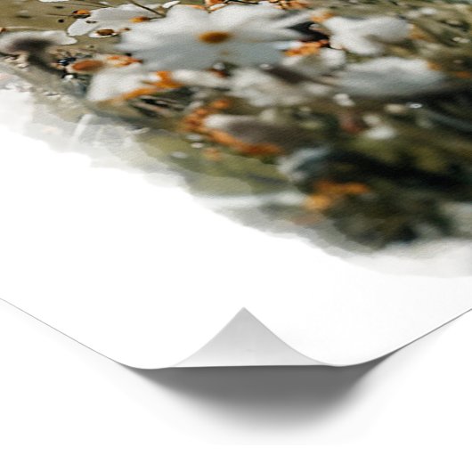 Pegasus Vorbereitung auf den Start Poster (Ecke)