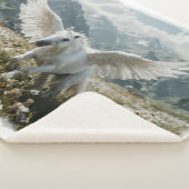 Pegasus Vorbereitung auf den Start Sherpadecke (3/4)