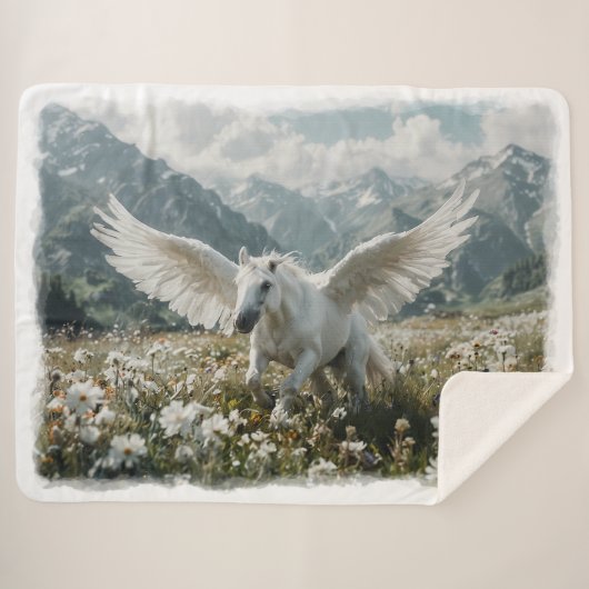 Pegasus Vorbereitung auf den Start Sherpadecke (Vorderseite (Horizontal))