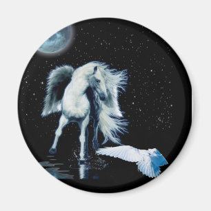 PEGASUS & WHITE RAVEN Collection Magnet