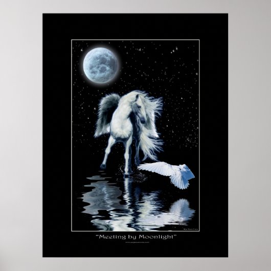 PEGASUS & WHITE RAVEN Collection Poster (Vorne)