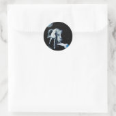 PEGASUS & WHITE RAVEN Collection Runder Aufkleber (Tasche)