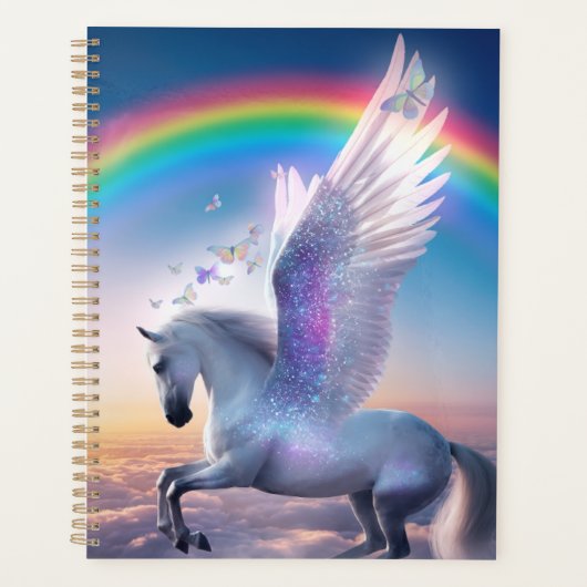 Pegasus with Rainbow Planer (Vorderseite)