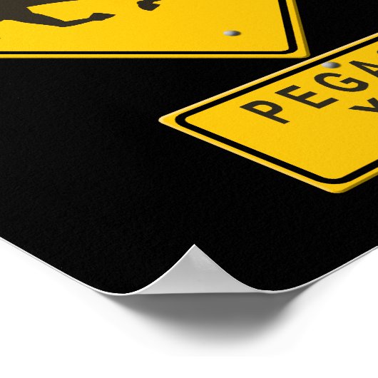 Pegasus XING Poster (Ecke)