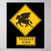 Pegasus XING Poster (Vorne)