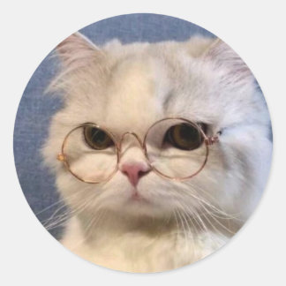 Pegatina de gato runder aufkleber