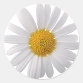 Pegatina Redonda Clásica margarita Runder Aufkleber (Vorderseite)