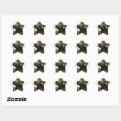 Pegatinas con forma de estrella Stern-Aufkleber (Blatt)