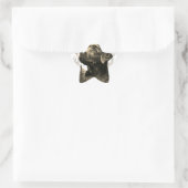 Pegatinas con forma de estrella Stern-Aufkleber (Tasche)